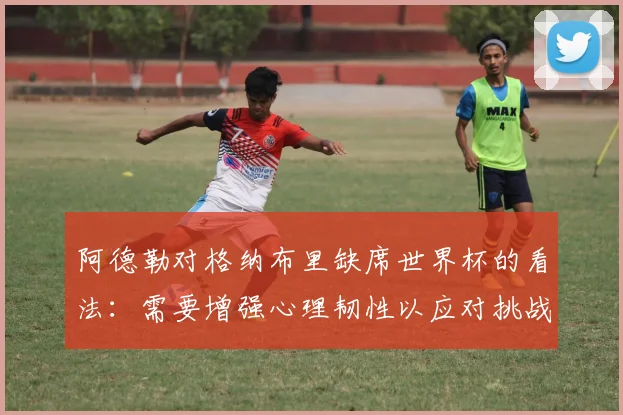 阿德勒对格纳布里缺席世界杯的看法：需要增强心理韧性以应对挑战